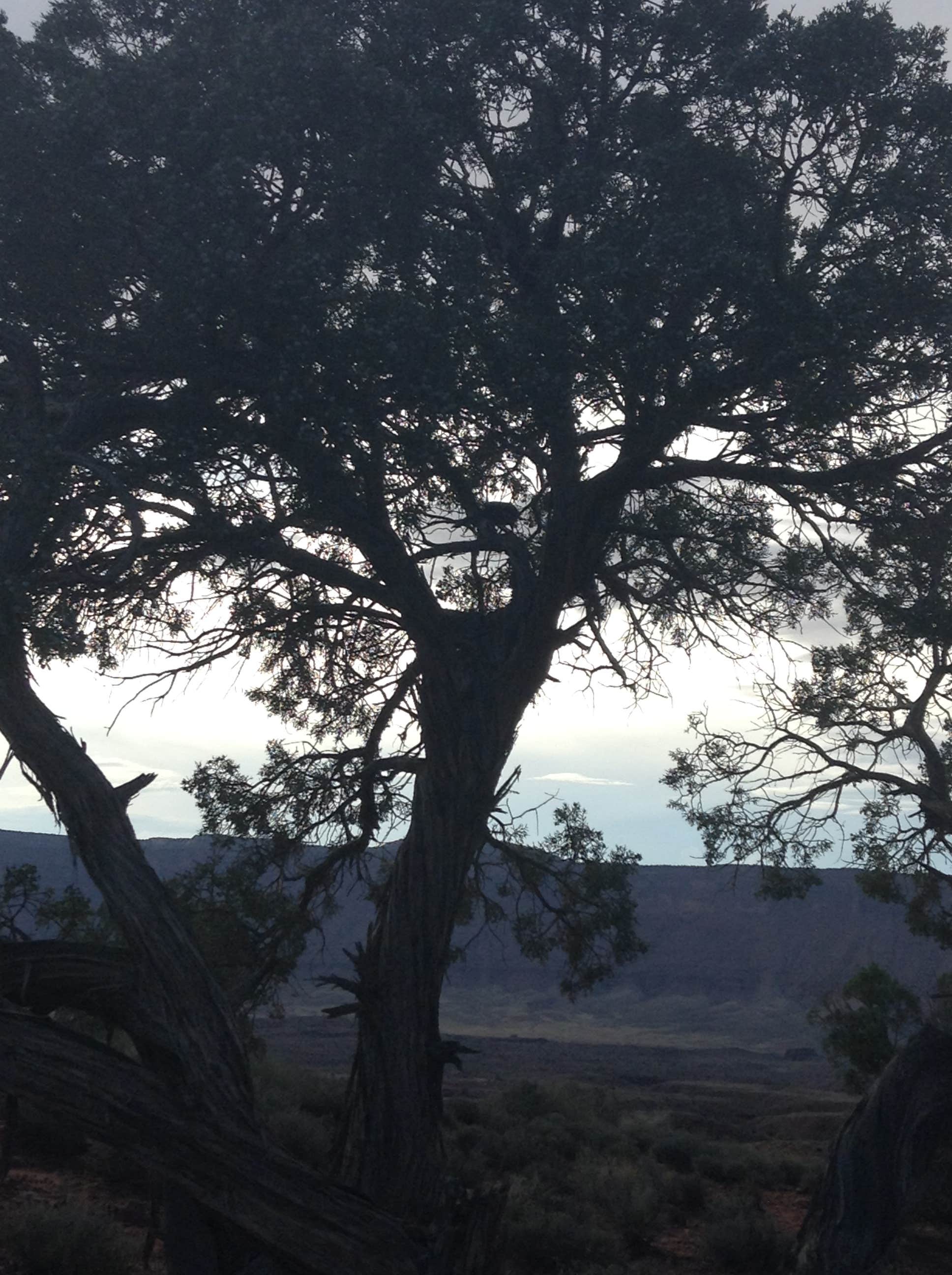 Camper-submitted photo at Fisher Towers Campground near Cisco, UT