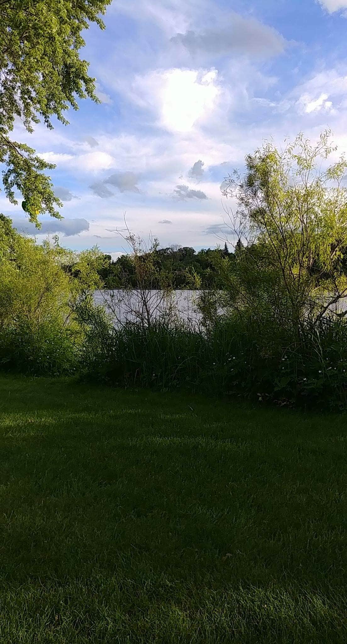 Camper submitted image from Sauk River City Park - 5