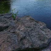 Review photo of Sauk River City Park by Jordan L., August 1, 2017