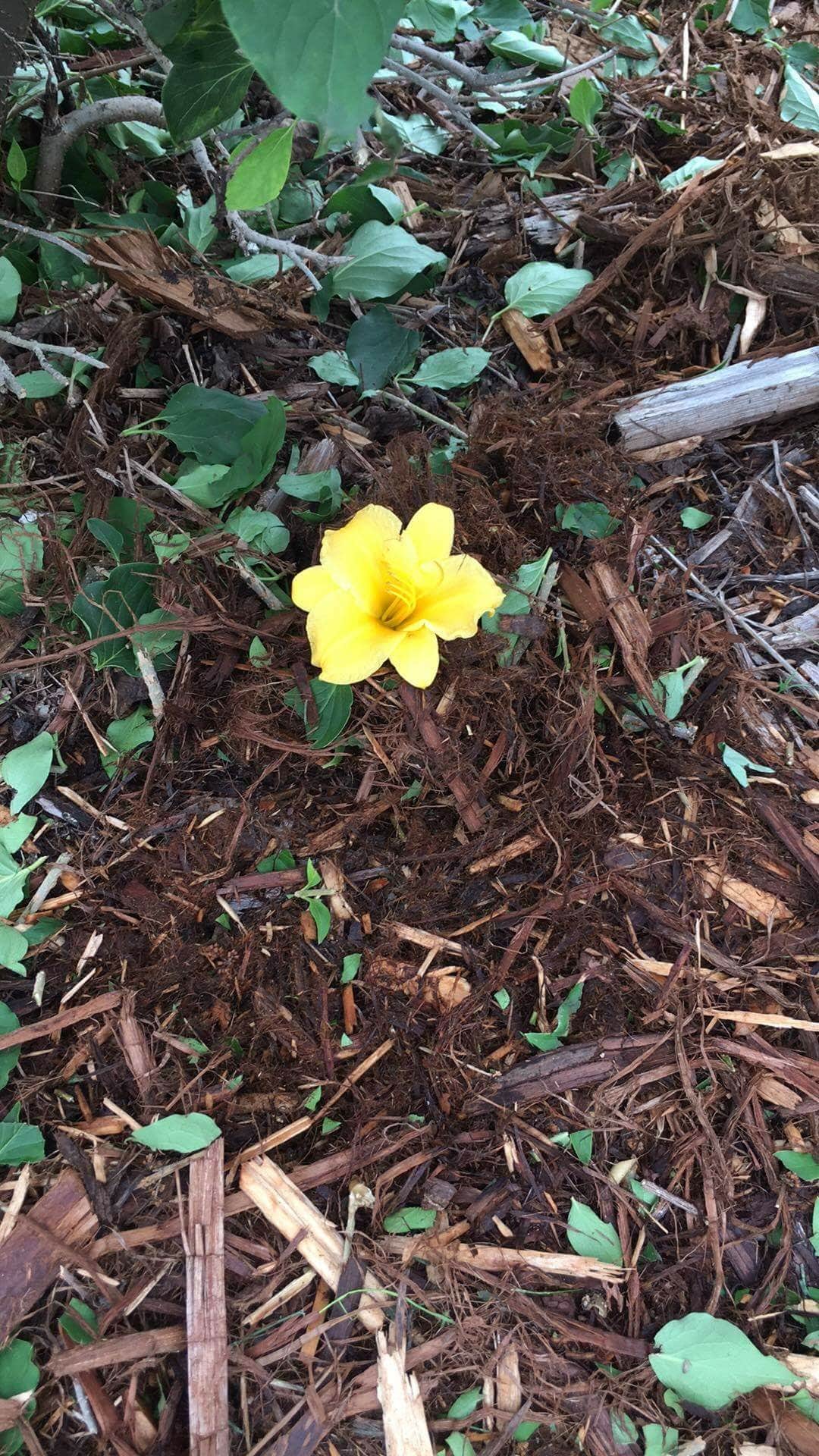 Camper-submitted photo at Grand Portage State Forest Devilfish Lake Campsite near Grand Portage, MN