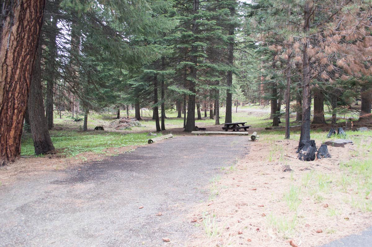 Camper submitted image from Ochoco Divide Group Site - 2