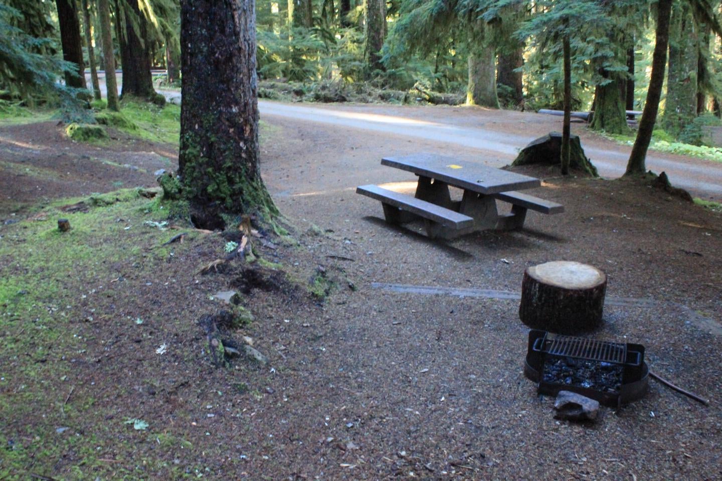 Camper submitted image from Sol Duc Hot Springs Resort Campground — Olympic National Park - 3