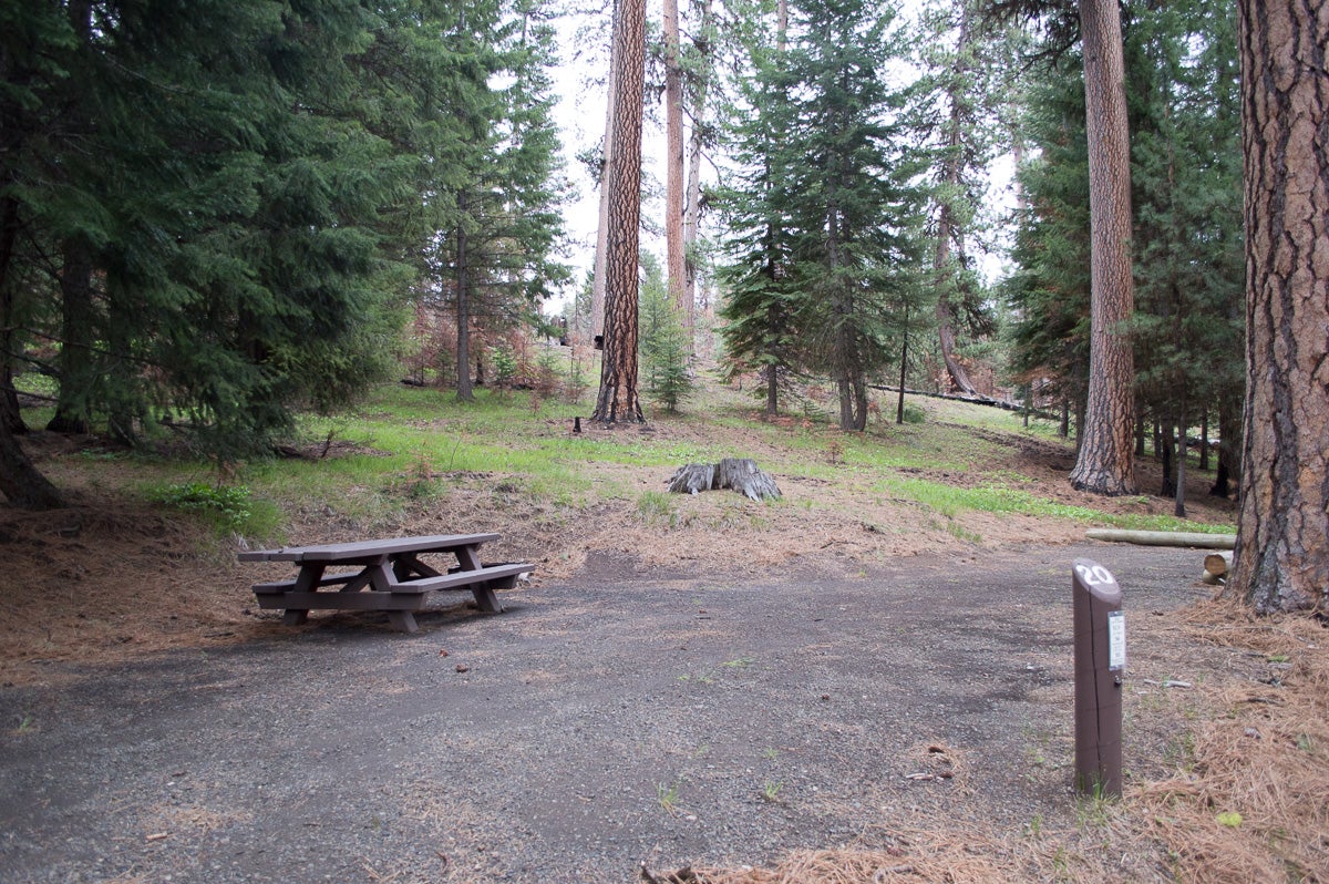 Camper submitted image from Ochoco Divide Group Site - 4