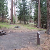 Review photo of Ochoco Divide Group Site by Lisa H., June 28, 2016