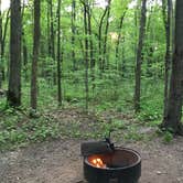 Review photo of Wild River State Park Campground by Brian C., August 1, 2017