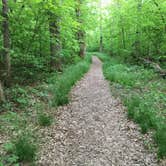 Review photo of Wild River State Park Campground by Brian C., August 1, 2017