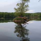 Review photo of Wild River State Park Campground by Brian C., August 1, 2017