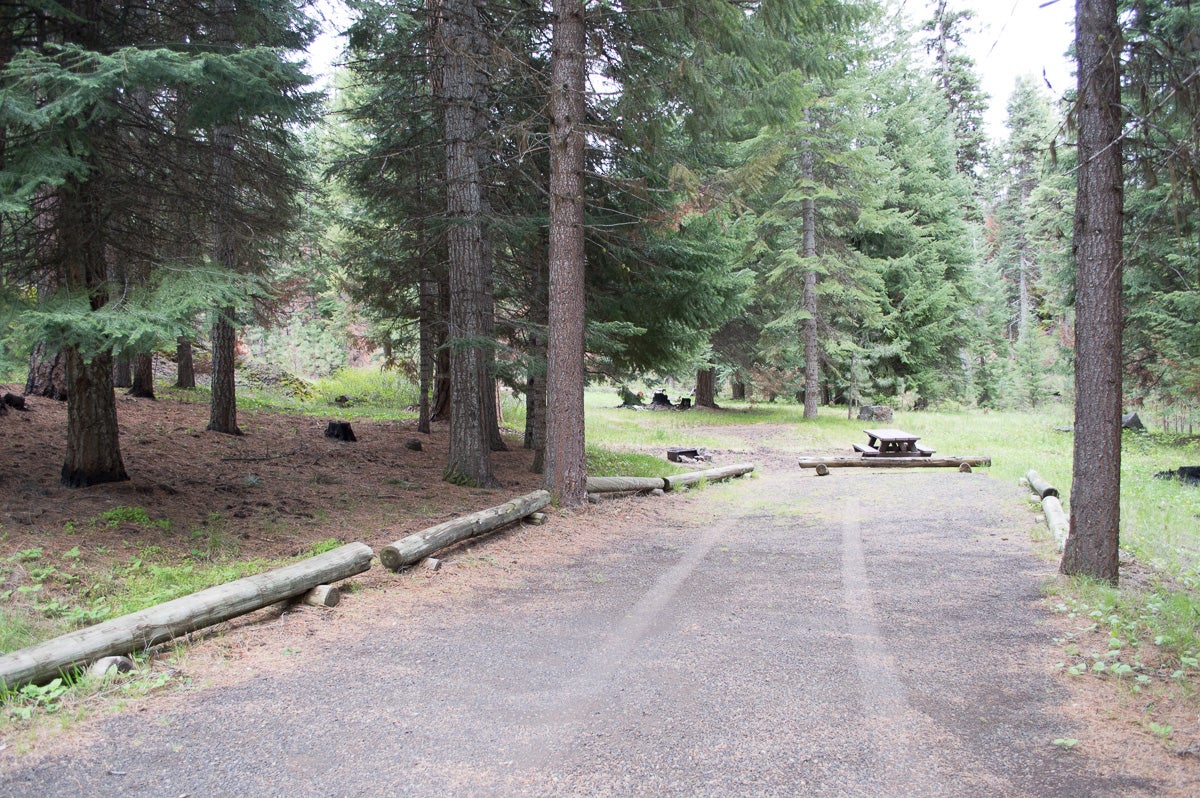 Camper submitted image from Ochoco Divide Group Site - 3