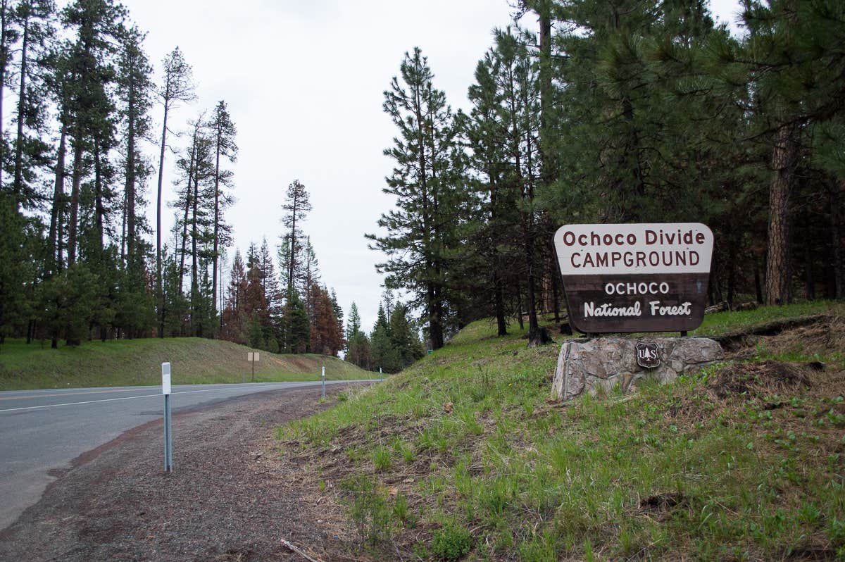 Camper submitted image from Ochoco Divide Group Site - 4