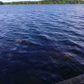 Review photo of Superior National Forest Fall Lake Campground by Jordan L., August 1, 2017