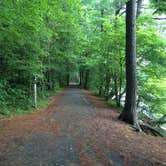 Review photo of William O'Brien State Park Campground by Brian C., August 1, 2017