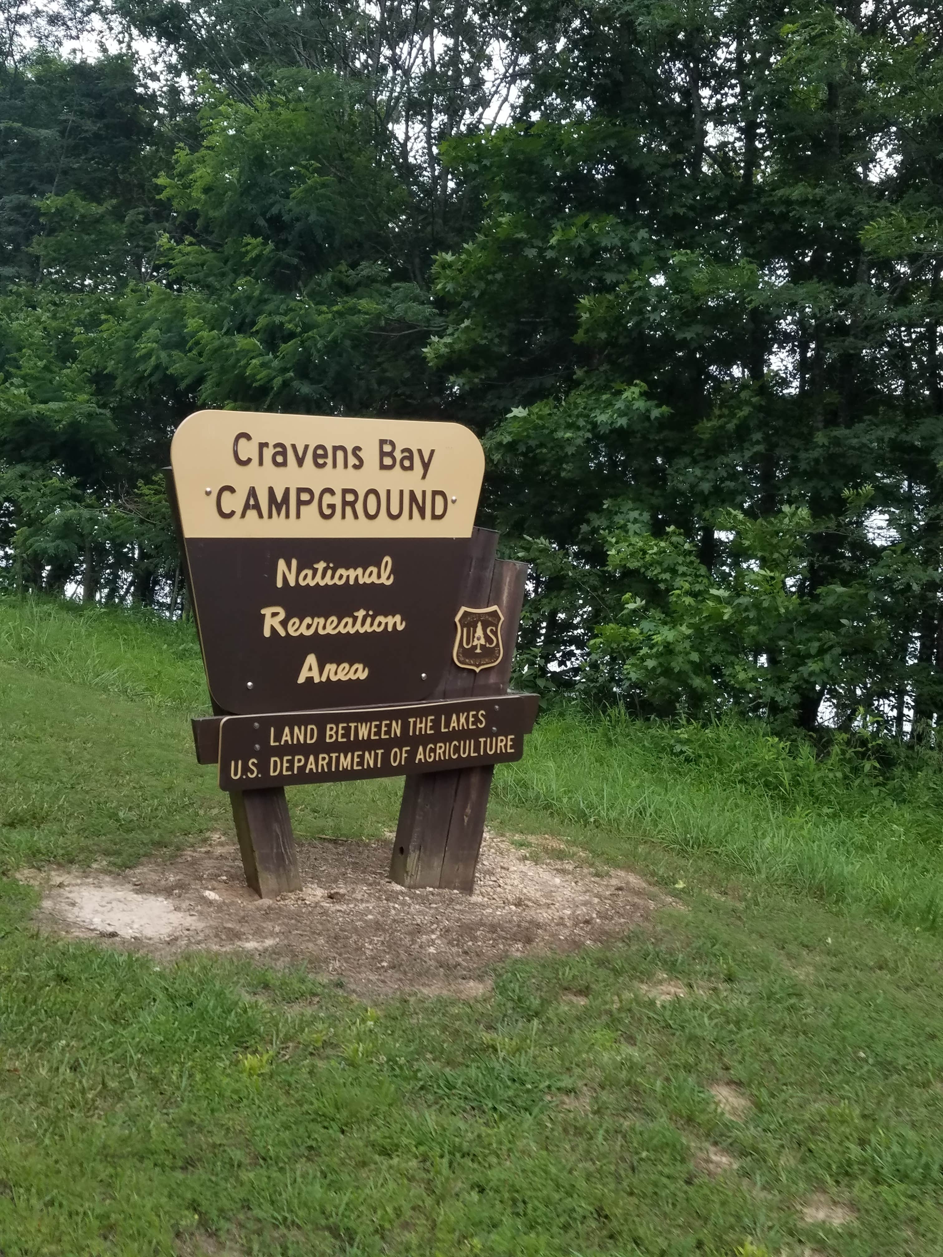 Camper submitted image from Cravens Bay - LBL Lake Access - 2