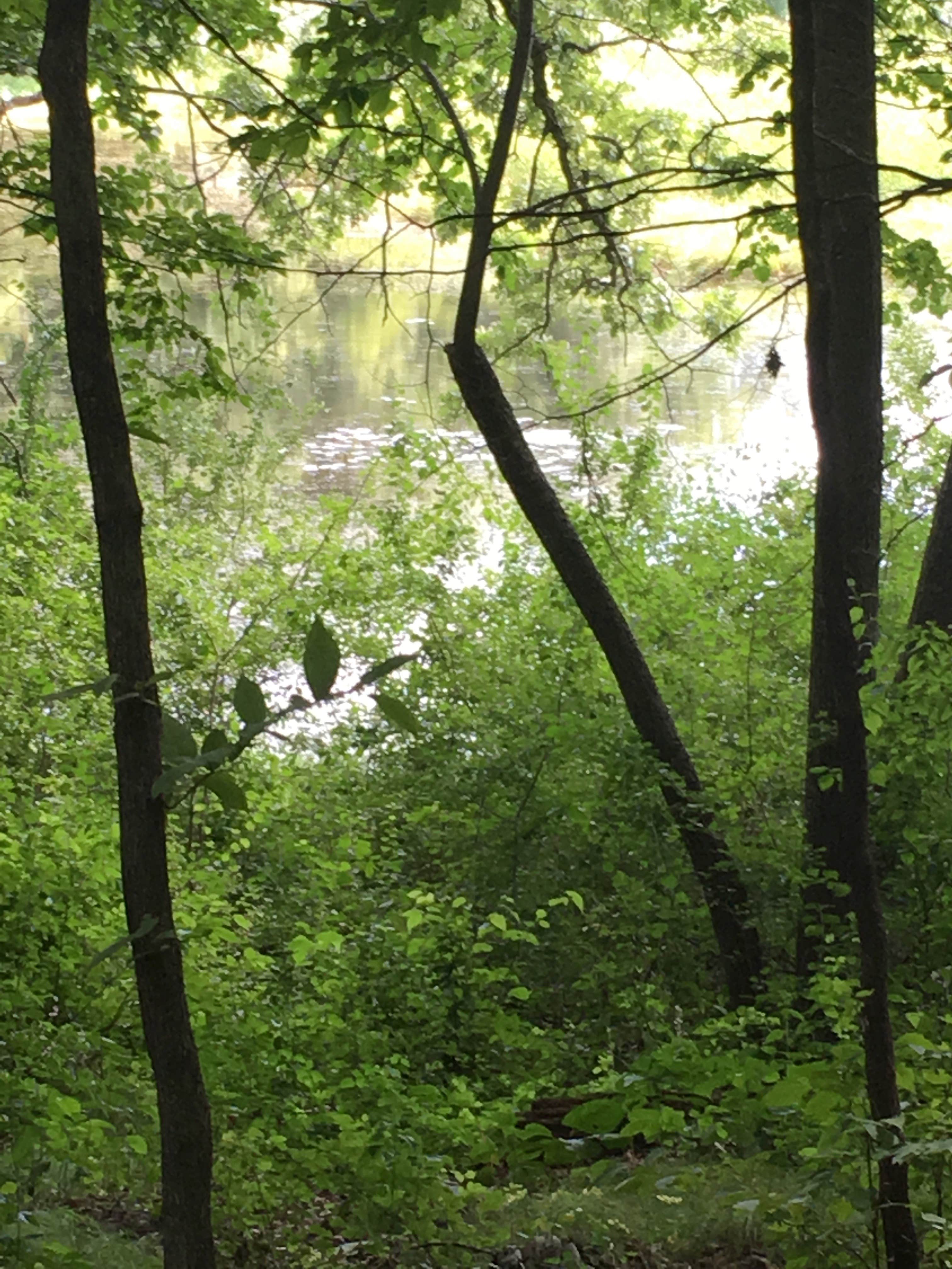 Camper-submitted photo at Lake Maria State Park Campground near Savage, MN