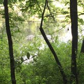 Review photo of Lake Maria State Park Campground by Brian C., August 1, 2017