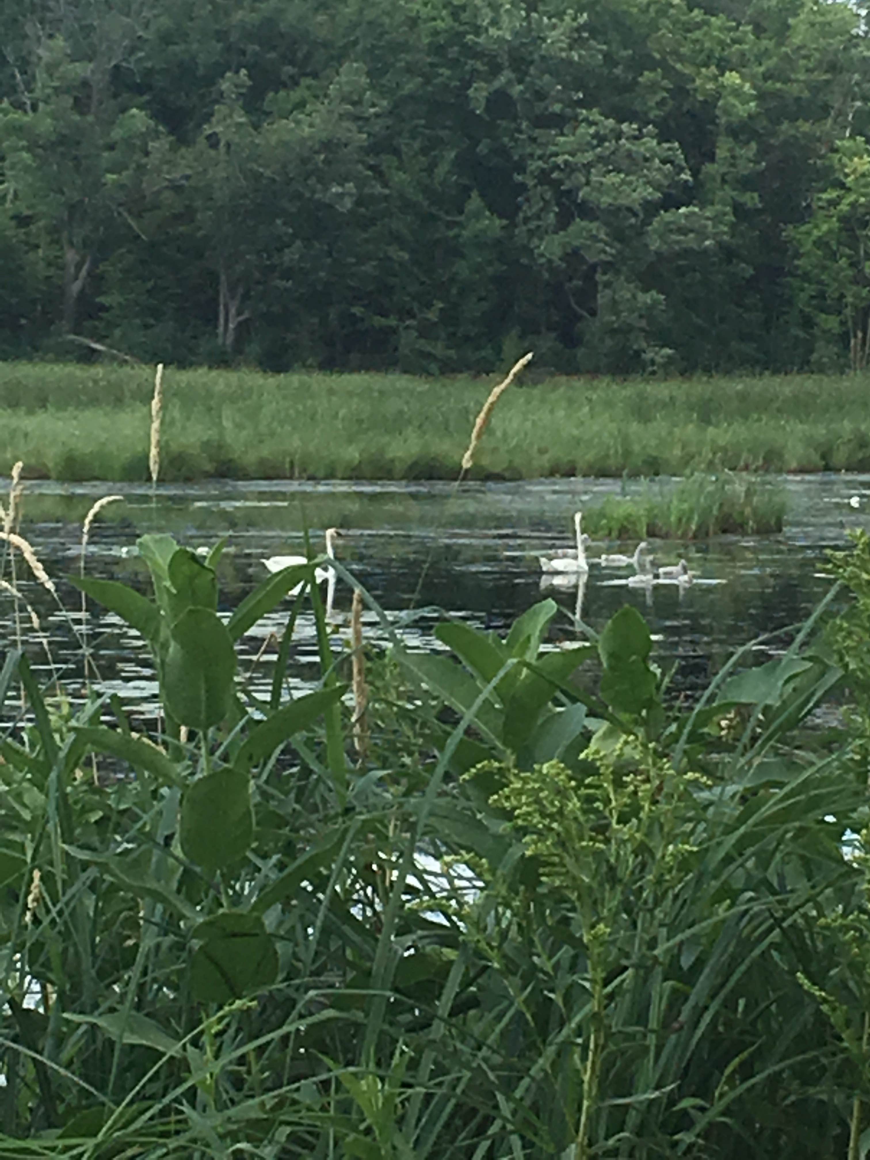 Camper-submitted photo at Lake Maria State Park Campground near Savage, MN