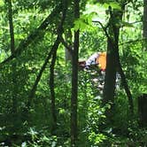 Review photo of Lake Maria State Park Campground by Brian C., August 1, 2017