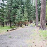 Review photo of Ochoco Divide Group Site by Lisa H., June 28, 2016