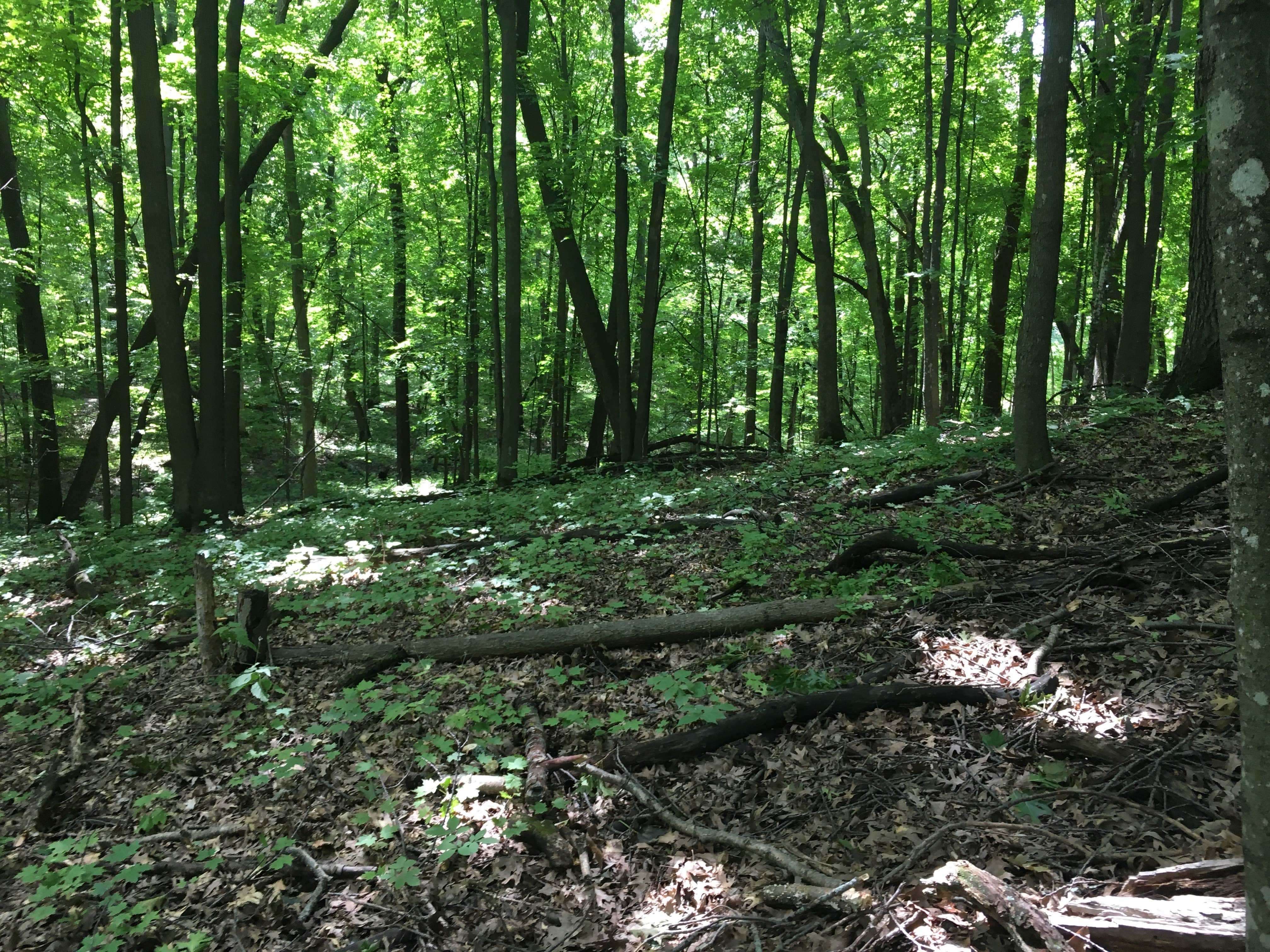 Camper-submitted photo at Lake Maria State Park Campground near Savage, MN