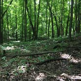 Review photo of Lake Maria State Park Campground by Brian C., August 1, 2017