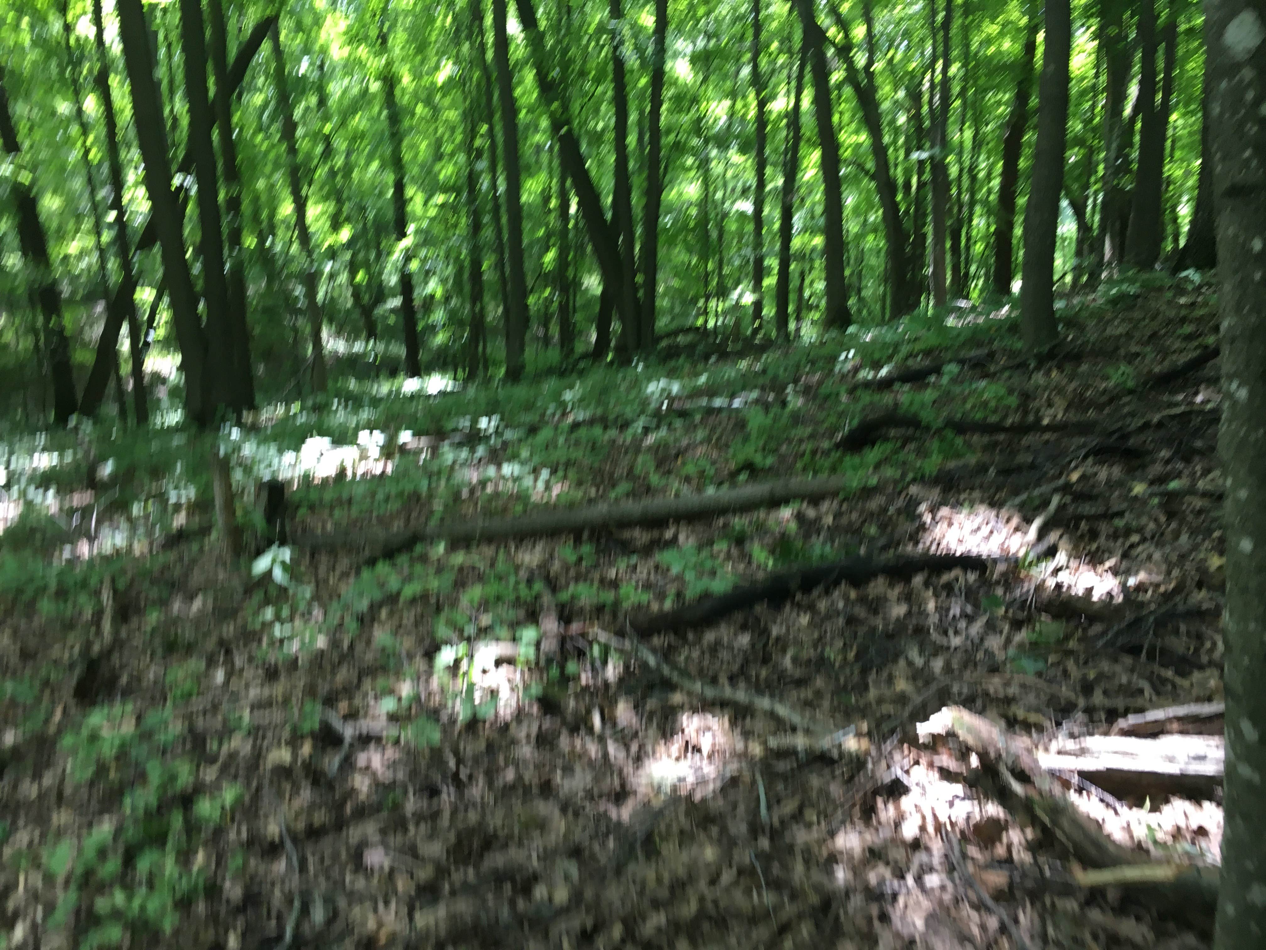 Camper-submitted photo at Lake Maria State Park Campground near Dassel, MN