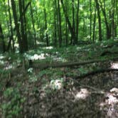 Review photo of Lake Maria State Park Campground by Brian C., August 1, 2017