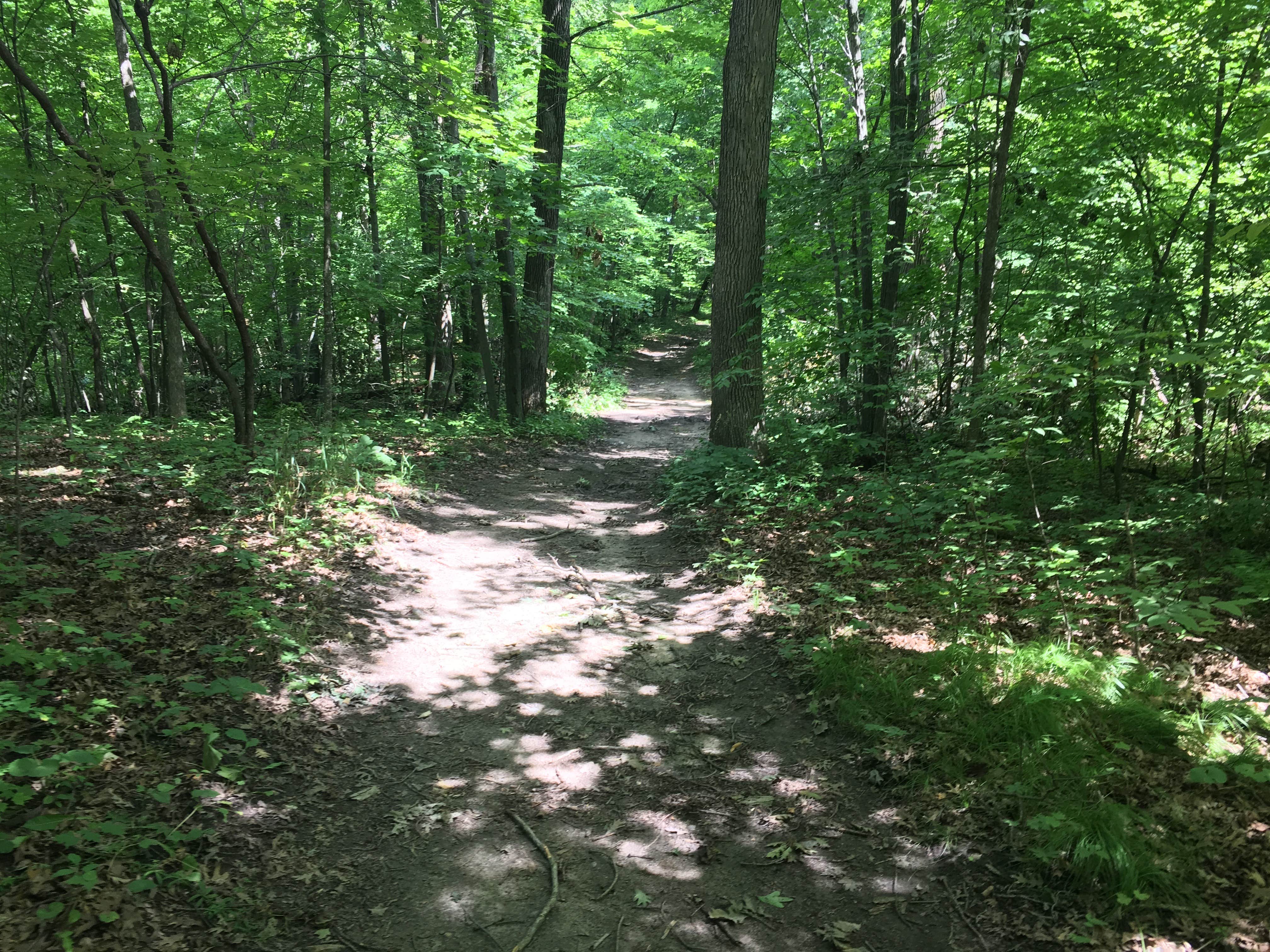 Camper submitted image from Lake Maria State Park Campground - 3