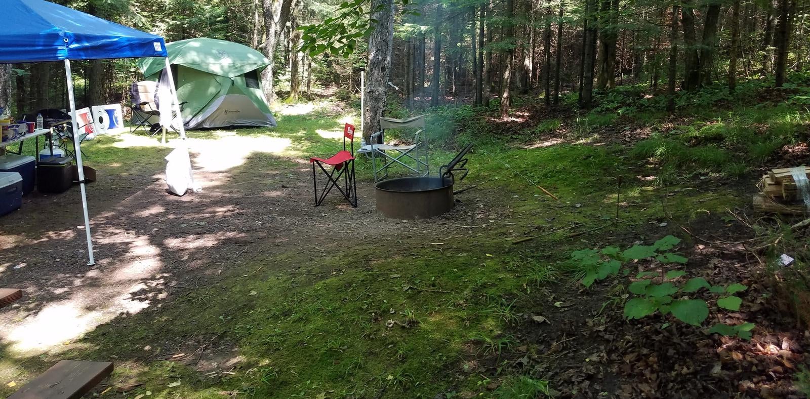 Camper submitted image from Chequamegon National Forest Beaver Lake Campground - 5