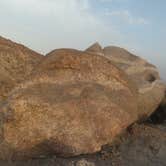 Review photo of Ryan Campground — Joshua Tree National Park by Roland B., August 1, 2017