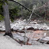 Review photo of Lafayette Place Campground — Franconia Notch State Park by Sarah C., August 1, 2017