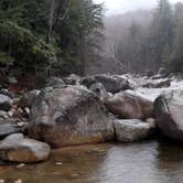 Review photo of Lafayette Place Campground — Franconia Notch State Park by Sarah C., August 1, 2017