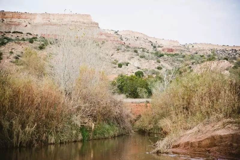 Camper submitted image from Juniper Campground — Palo Duro Canyon State Park - 2