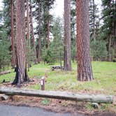 Review photo of Ochoco Divide Group Site by Lisa H., June 28, 2016
