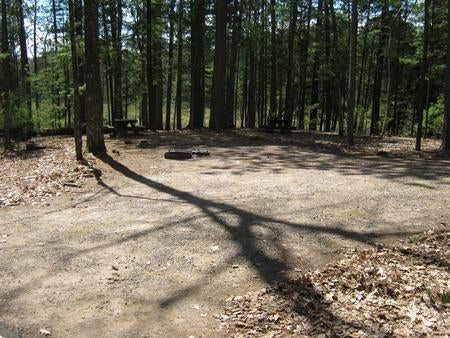 Camper submitted image from Laurel Lake Campground - 4