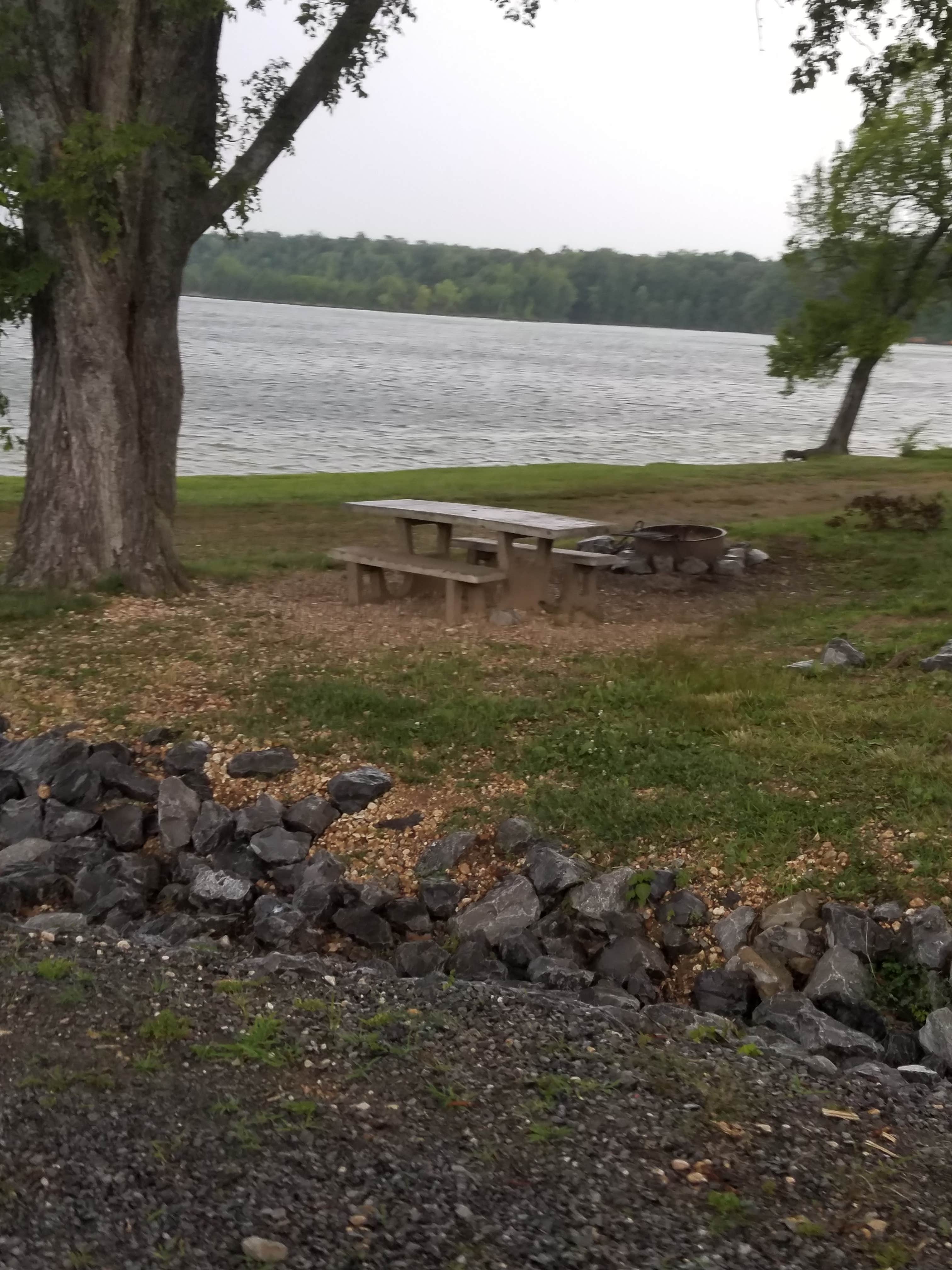 Camper submitted image from Pisgah Bay - DFWR - 1