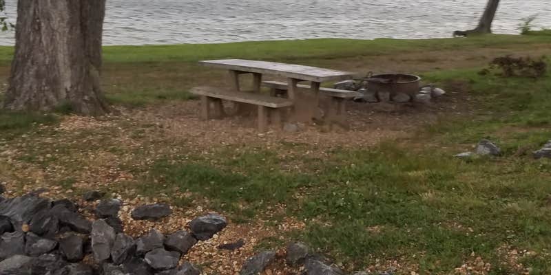 Camper submitted image from Pisgah Bay - DFWR