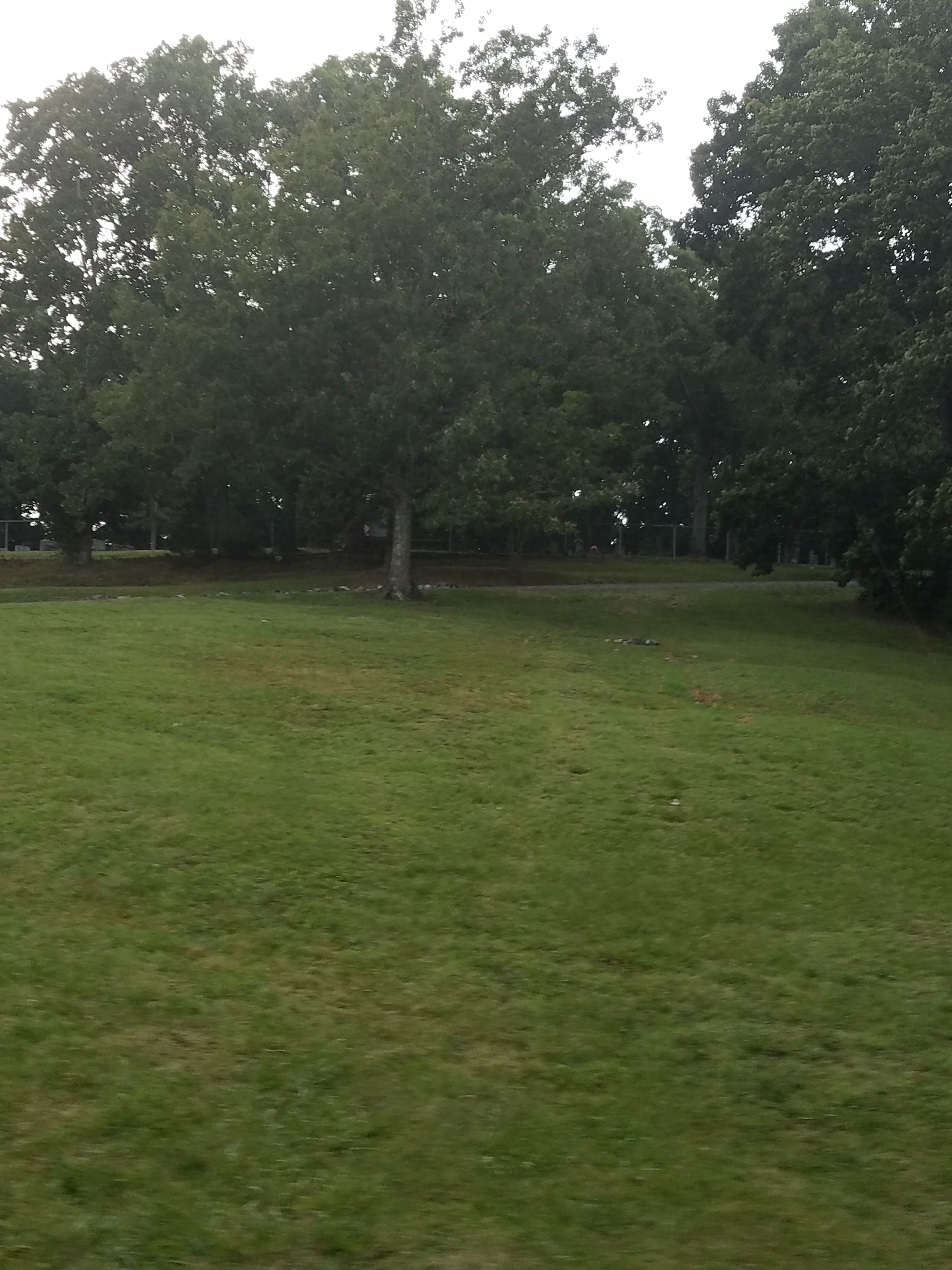 Camper-submitted photo at Pisgah Bay - DFWR near Grand Rivers, KY