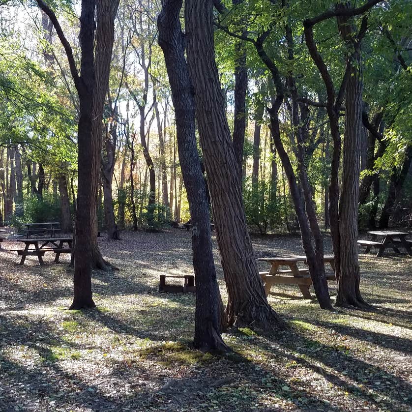 Newport RV Park Camping The Dyrt