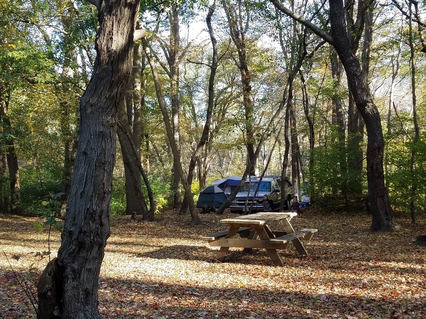 Melville Ponds Campground & RV Park The Dyrt