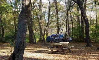 Nancy W.'s photo at Newport RV Park near Jamestown, RI