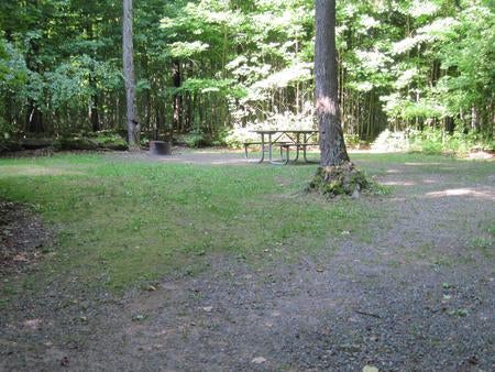 Camper submitted image from Namekagon Lake Campground - 4