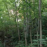 Review photo of Interstate State Park — Interstate State Park by Anne G., August 1, 2017