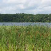 Review photo of Lake Maria State Park Campground by Anne G., August 1, 2017