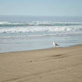 Review photo of Cape Lookout State Park Campground by Lisa H., June 28, 2016