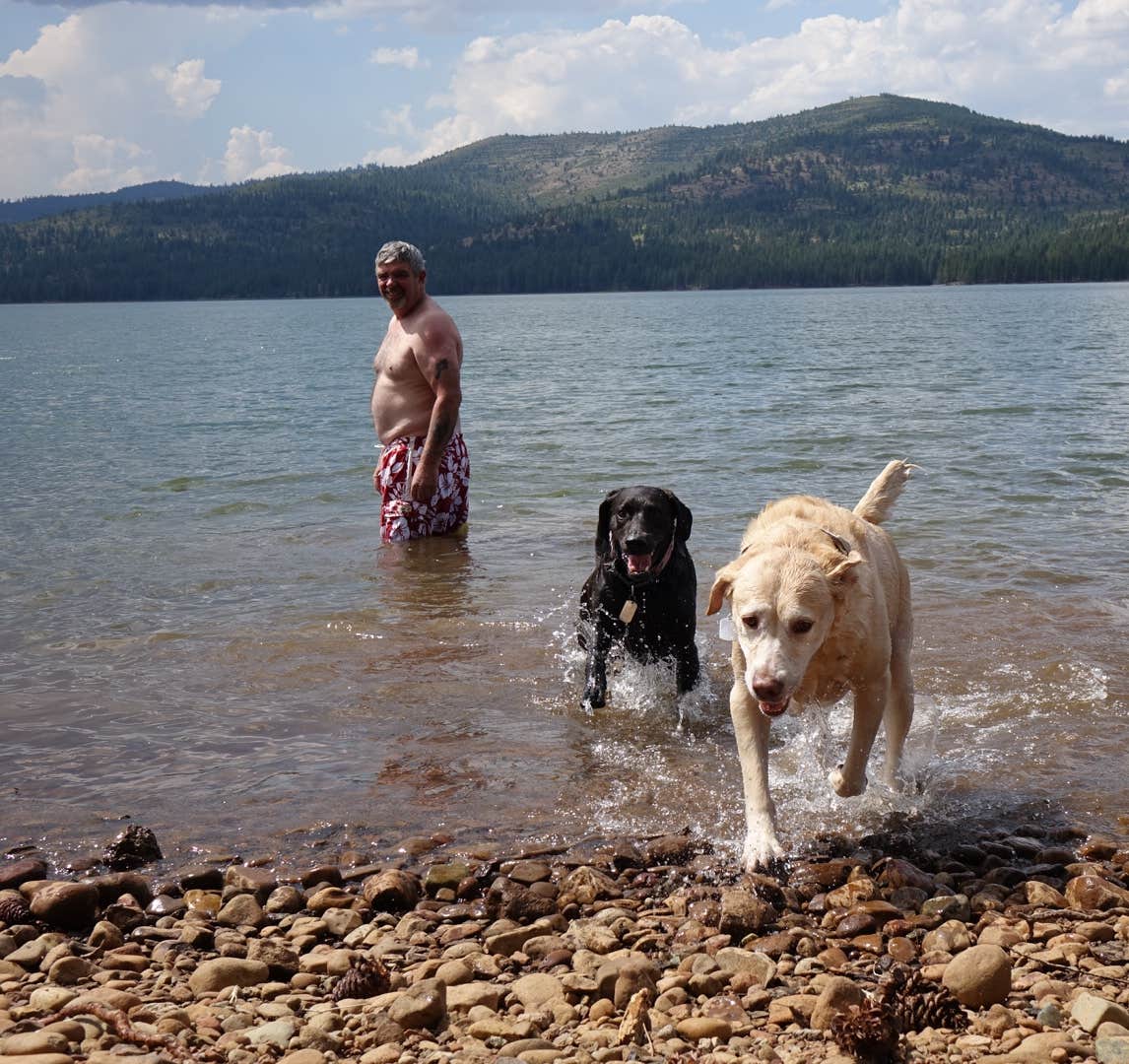 Kate M.'s photo of camping with pets at Logger Campground near Loyalton, CA