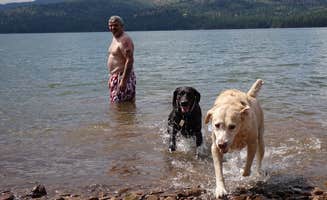 Kate M.'s photo of camping with pets at Logger Campground near Kings Beach, CA