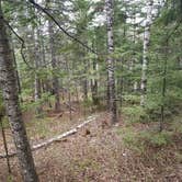 Review photo of George H. Crosby Manitou State Park Campground by Anne G., August 1, 2017