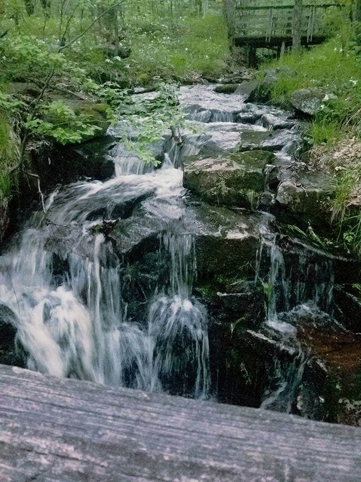 Camper-submitted photo at George H. Crosby Manitou State Park Campground near Tofte, MN
