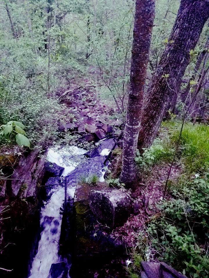 Camper-submitted photo at George H. Crosby Manitou State Park Campground near Tofte, MN