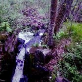 Review photo of George H. Crosby Manitou State Park Campground by Anne G., August 1, 2017