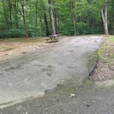Review photo of Kenlake State Resort Park by Staci R., August 1, 2017